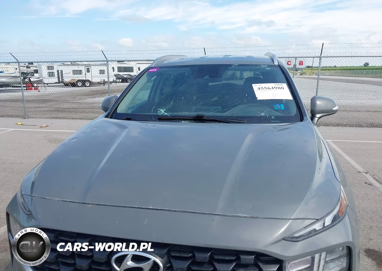 2023 Hyundai Santa Fe Sel VIN:5NMS2DAJ6PH639981 - 6
