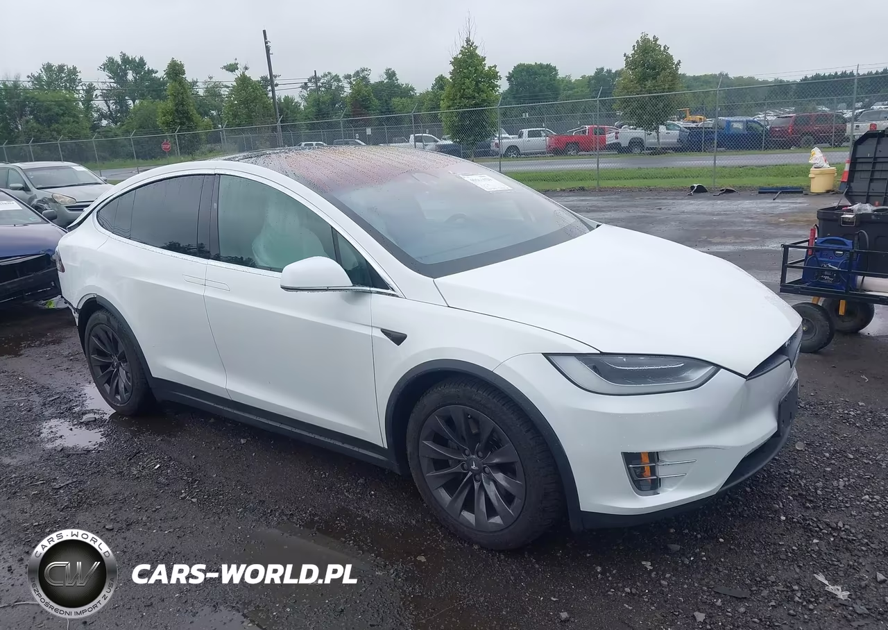 2017 Tesla Model X 100D-75D-90D