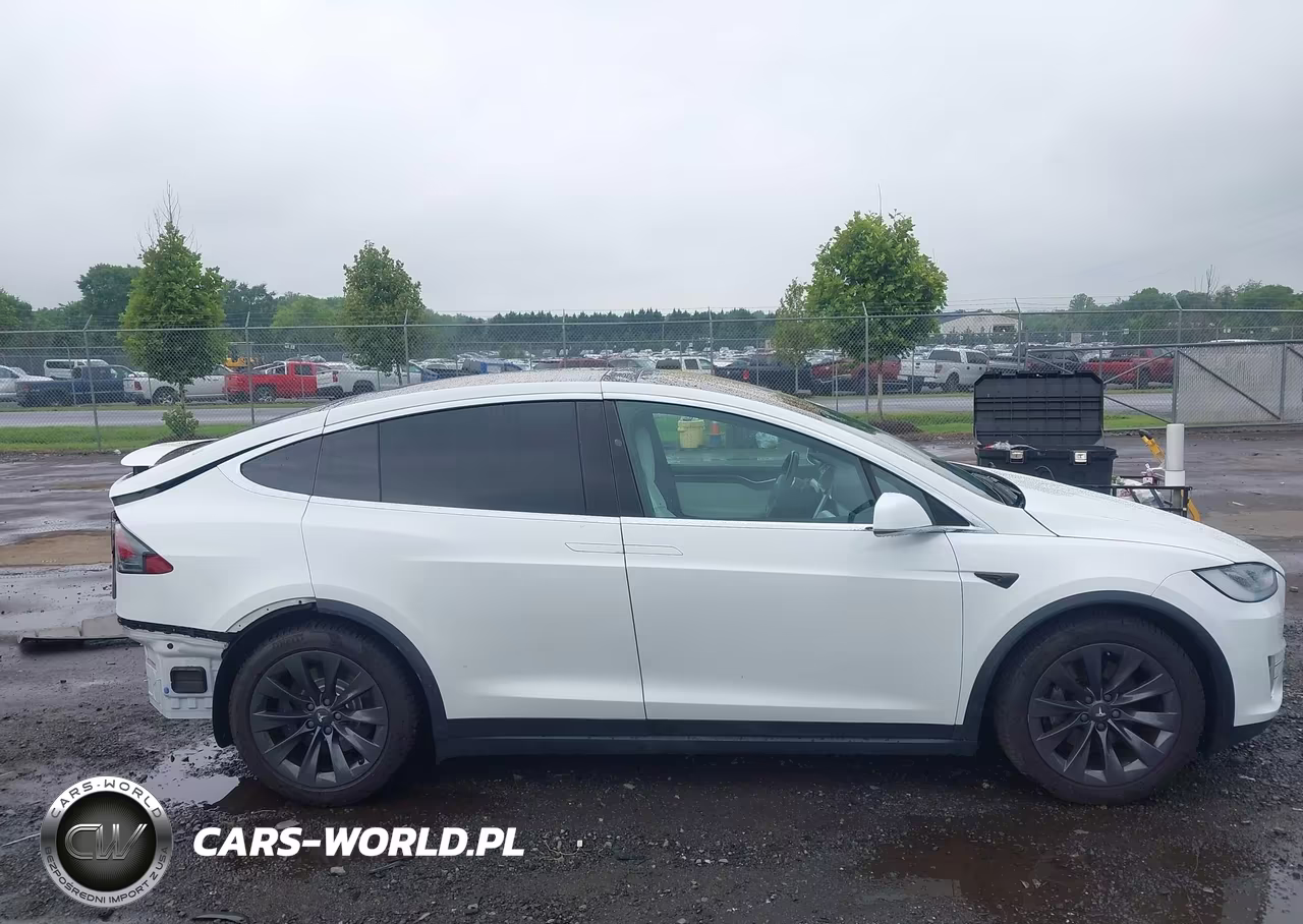 2017 Tesla Model X 100D-75D-90D VIN:5YJXCDE25HF076494 - 14