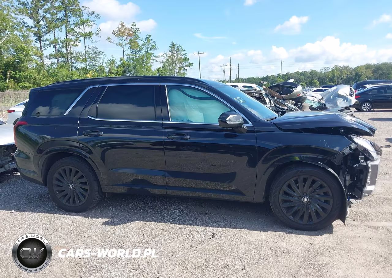 2024 Hyundai Palisade Calligraphy Night Edition VIN:KM8R7DGEXRU663802 - 13