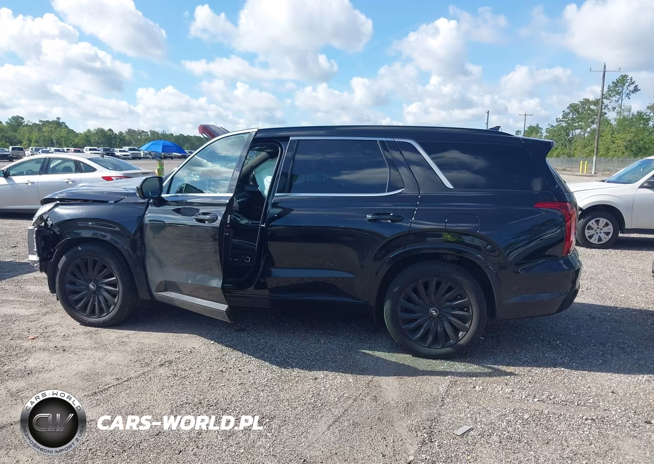 2024 Hyundai Palisade Calligraphy Night Edition VIN:KM8R7DGEXRU663802 - 14