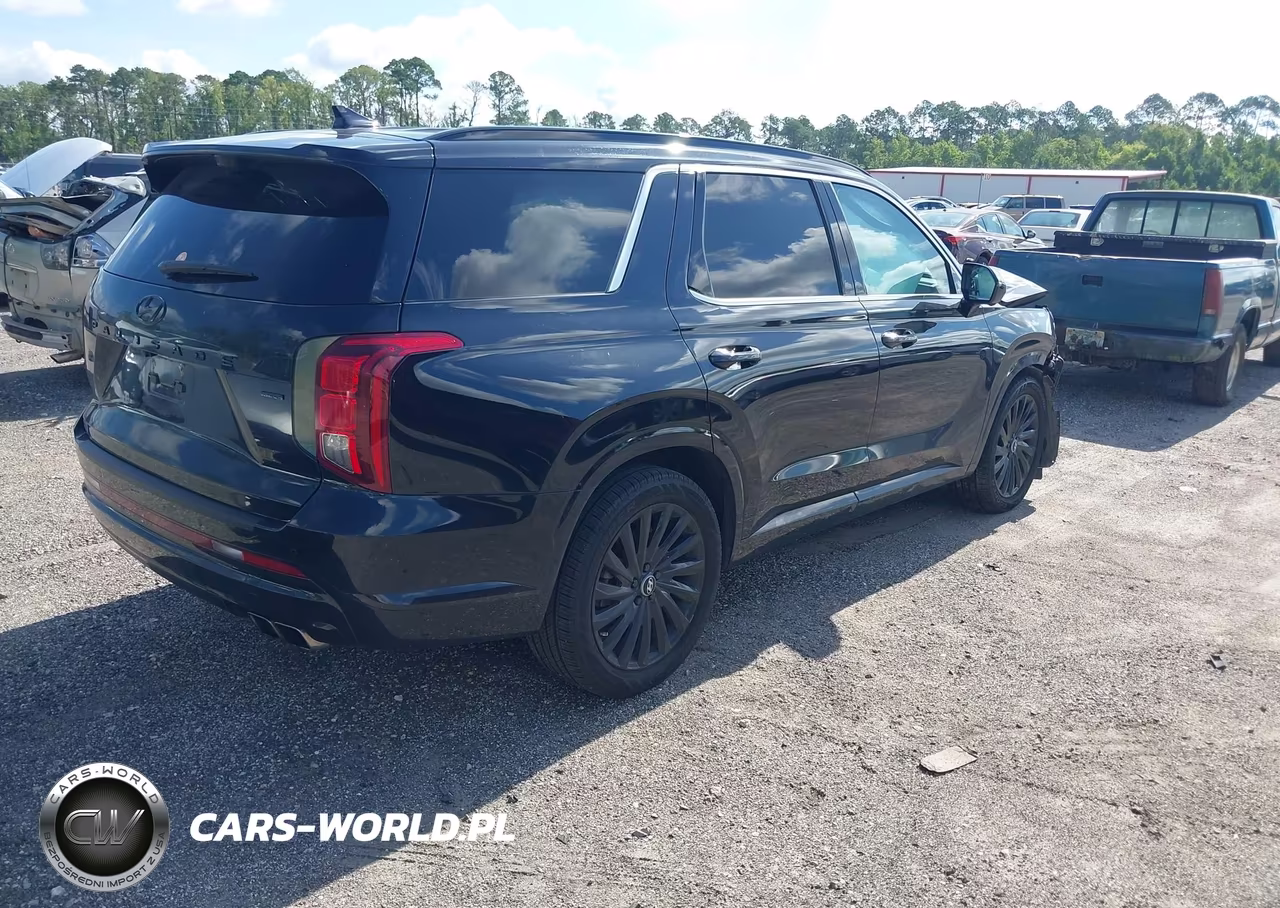2024 Hyundai Palisade Calligraphy Night Edition VIN:KM8R7DGEXRU663802 - 4