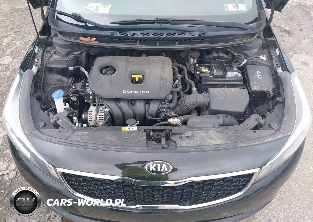 2018 Kia Forte Lx VIN:3KPFL4A71JE242616 - 10
