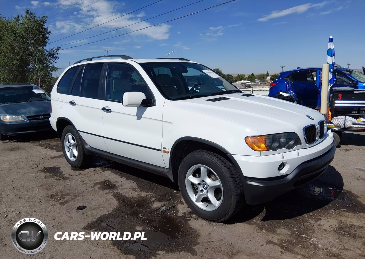 2001 BMW X5 3.0 VIN:WBAFA53531LM77143 - 6
