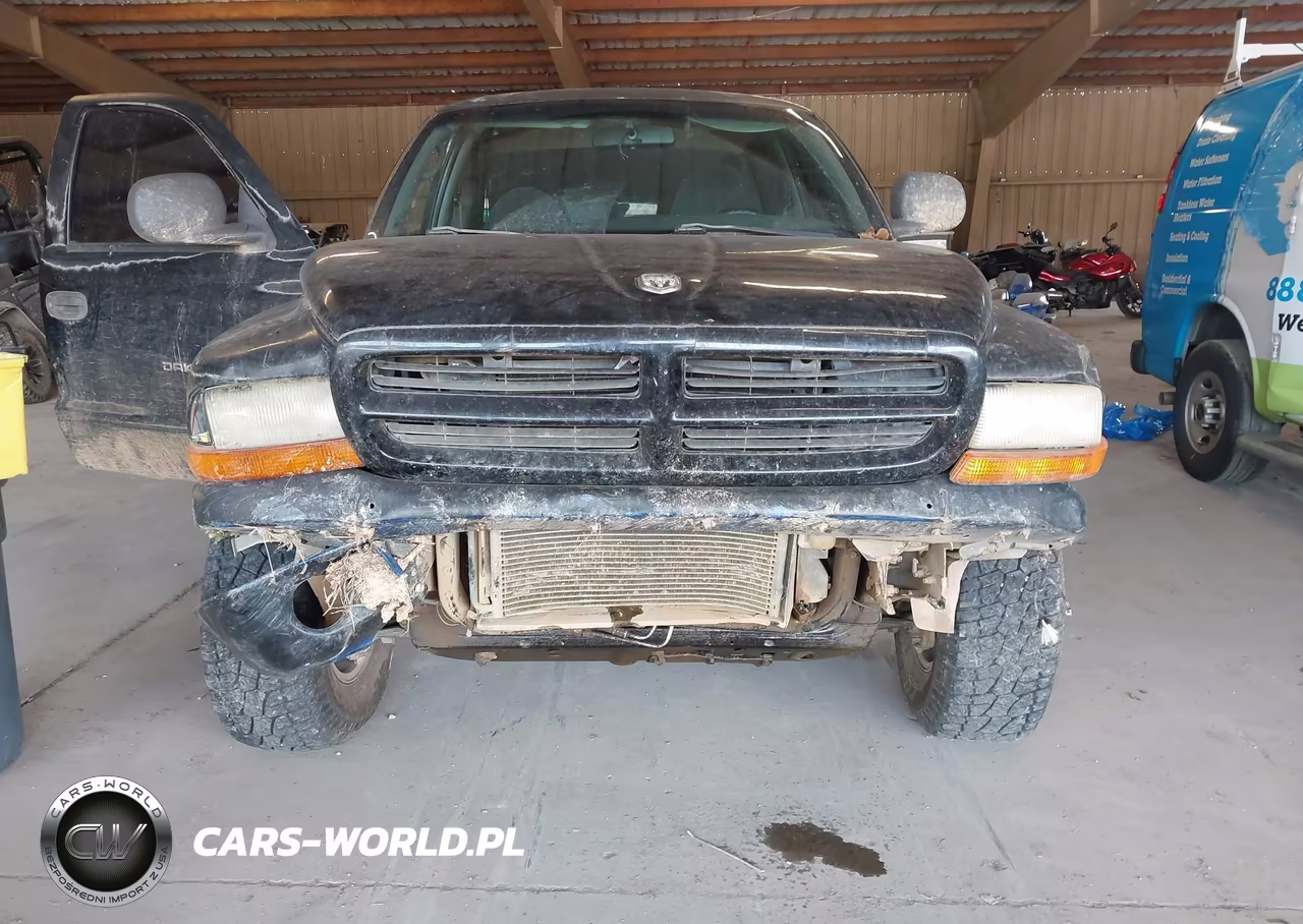 1999 Dodge Dakota Slt-Sport VIN:1B7GG22Y1XS125192 - 12