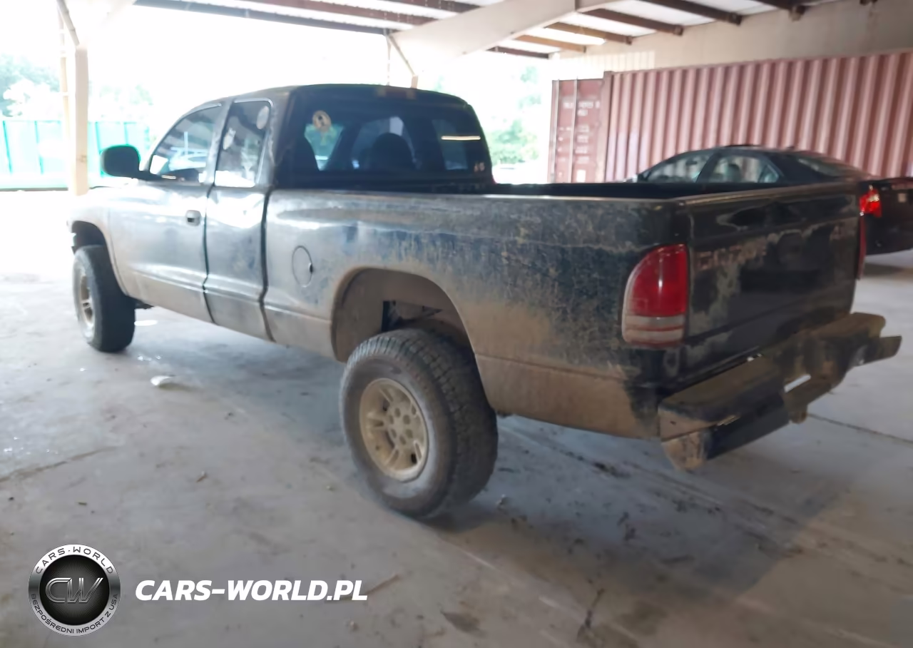 1999 Dodge Dakota Slt-Sport VIN:1B7GG22Y1XS125192 - 3