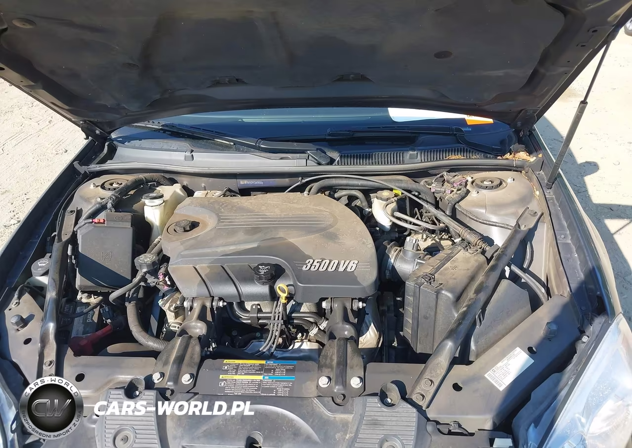 2009 Chevrolet Impala Lt VIN:2G1WT57K391257444 - 10