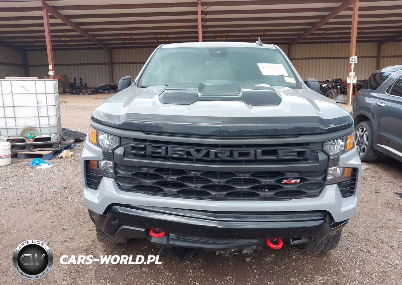 2024 Chevrolet Silverado 1500 4Wd Short Bed Custom Trail Boss VIN:3GCPDCEK0RG179731 - 12