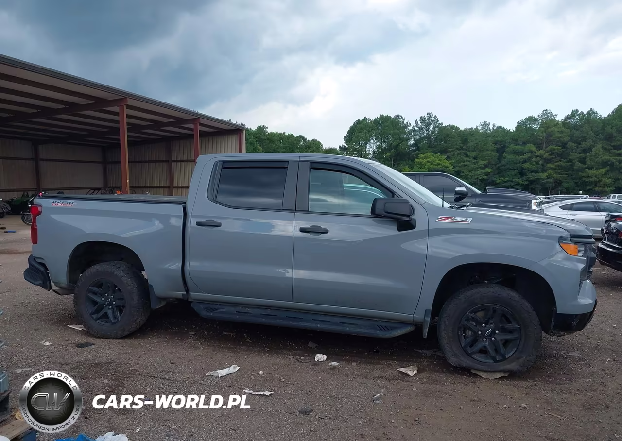 2024 Chevrolet Silverado 1500 4Wd Short Bed Custom Trail Boss VIN:3GCPDCEK0RG179731 - 13