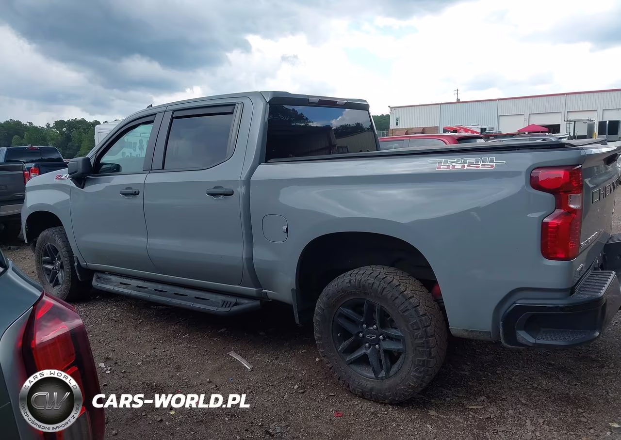2024 Chevrolet Silverado 1500 4Wd Short Bed Custom Trail Boss VIN:3GCPDCEK0RG179731 - 14