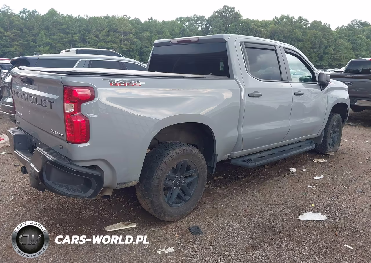 2024 Chevrolet Silverado 1500 4Wd Short Bed Custom Trail Boss VIN:3GCPDCEK0RG179731 - 4
