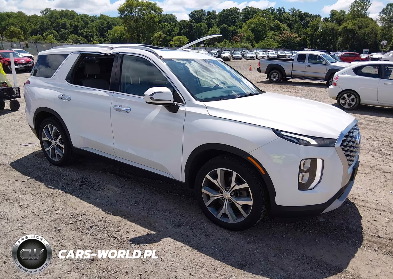 2020 Hyundai Palisade Sel