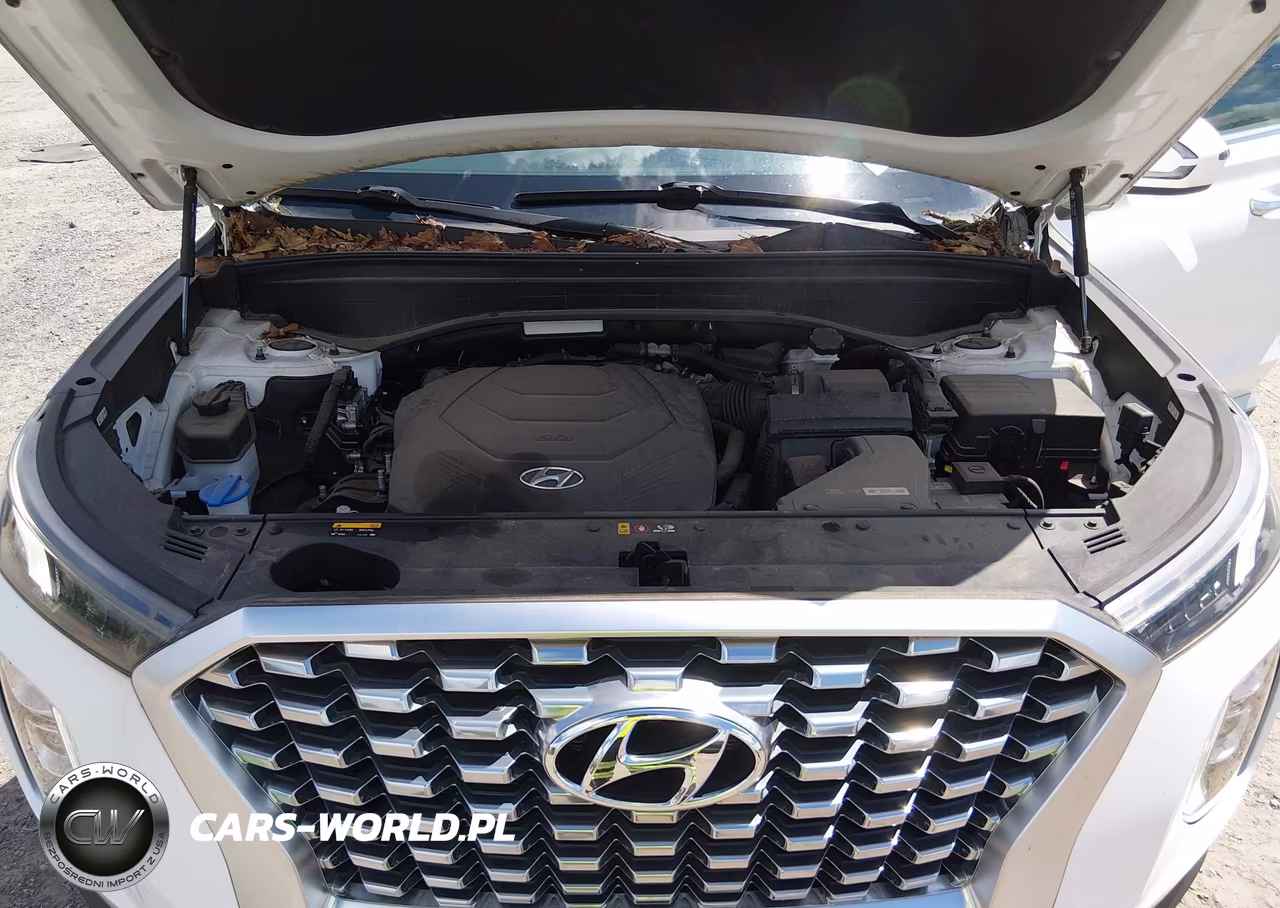 2020 Hyundai Palisade Sel VIN:KM8R3DHE2LU116945 - 10