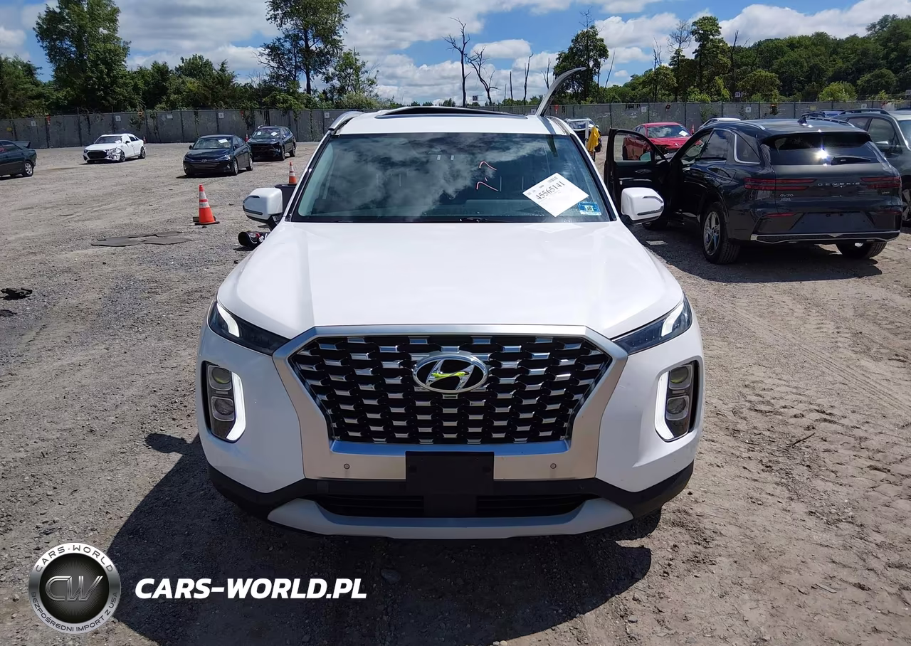 2020 Hyundai Palisade Sel VIN:KM8R3DHE2LU116945 - 12