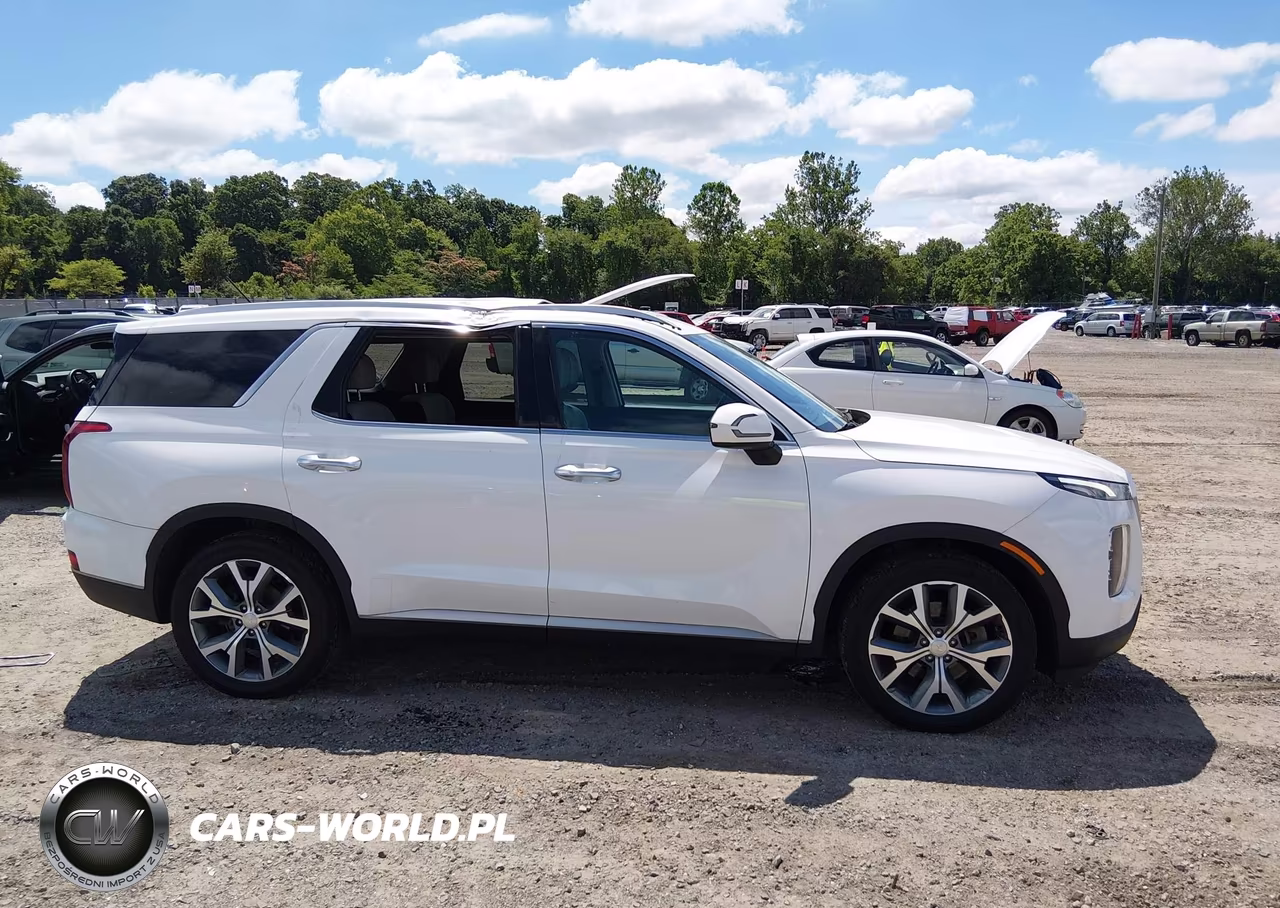 2020 Hyundai Palisade Sel VIN:KM8R3DHE2LU116945 - 13