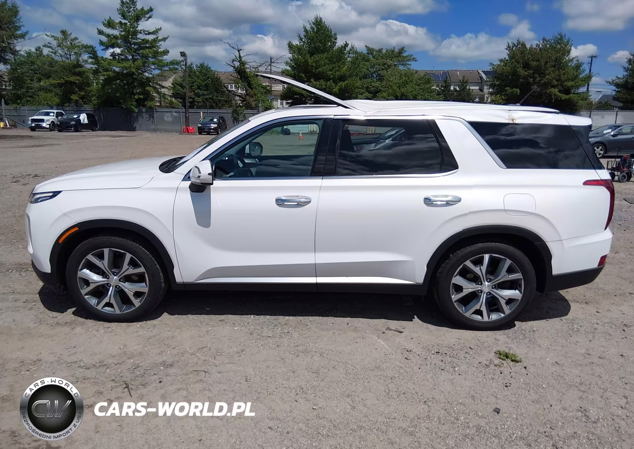 2020 Hyundai Palisade Sel VIN:KM8R3DHE2LU116945 - 14