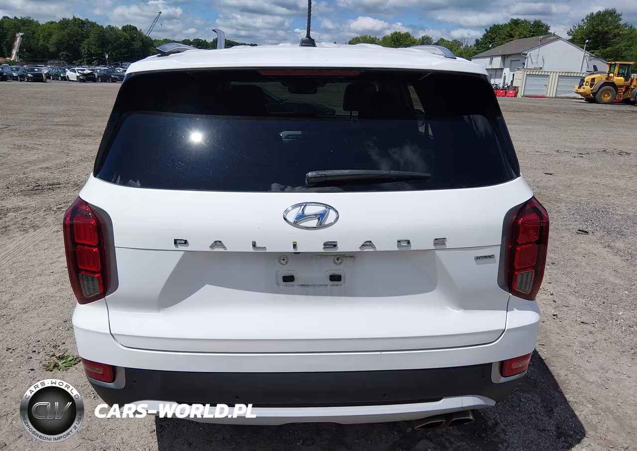 2020 Hyundai Palisade Sel VIN:KM8R3DHE2LU116945 - 16