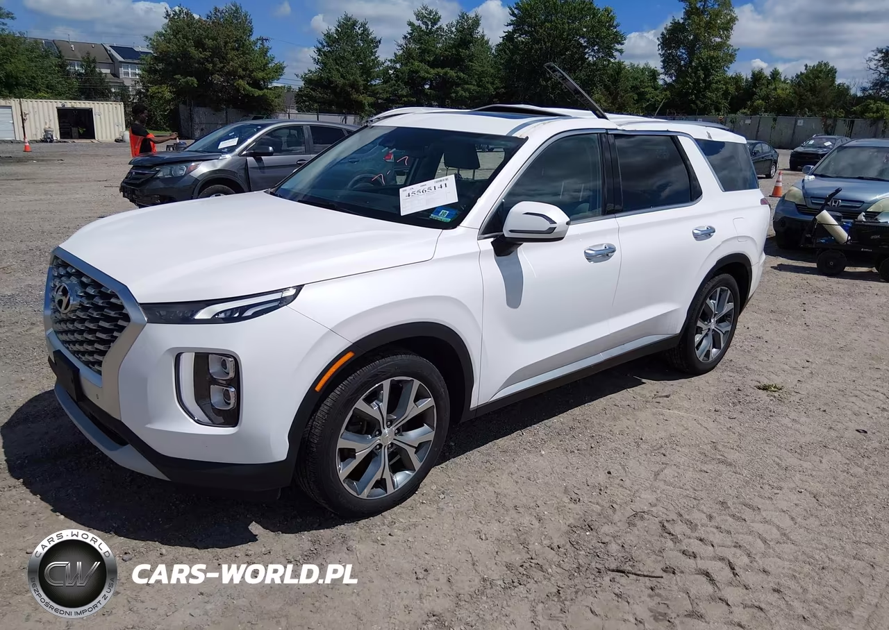2020 Hyundai Palisade Sel VIN:KM8R3DHE2LU116945 - 2