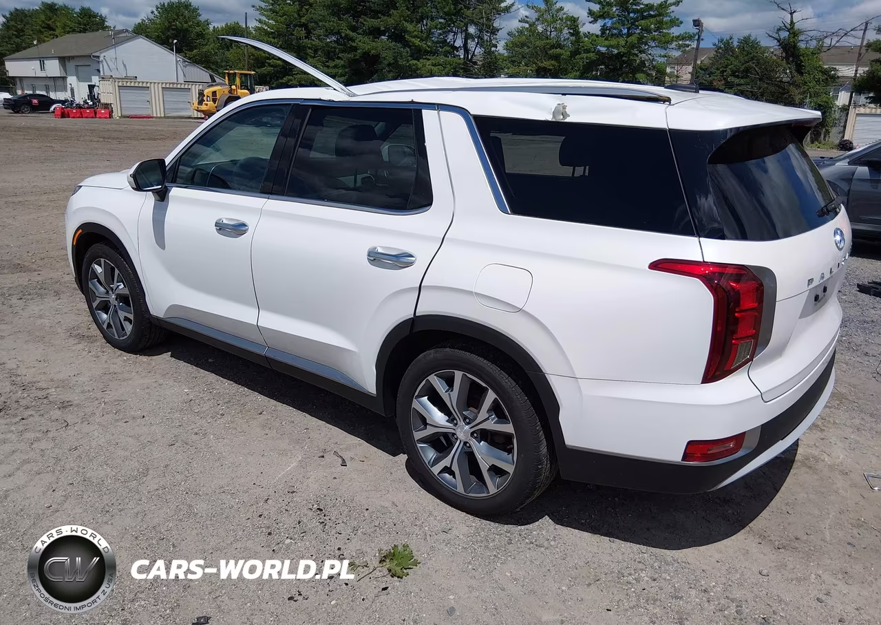 2020 Hyundai Palisade Sel VIN:KM8R3DHE2LU116945 - 3