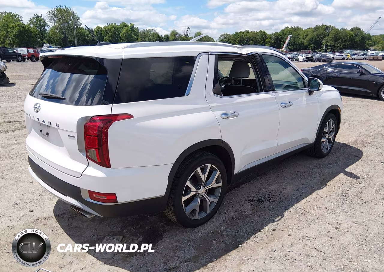 2020 Hyundai Palisade Sel VIN:KM8R3DHE2LU116945 - 4