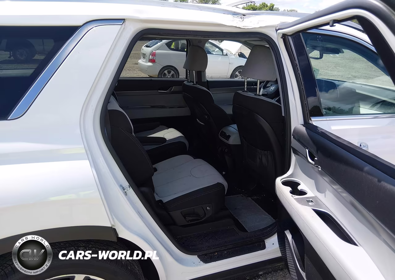 2020 Hyundai Palisade Sel VIN:KM8R3DHE2LU116945 - 8