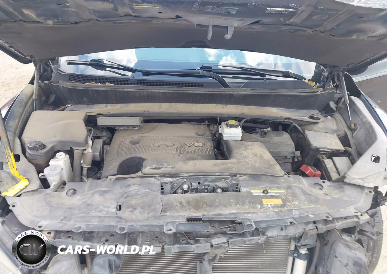 2016 Infiniti Qx60 VIN:5N1AL0MM4GC511255 - 10