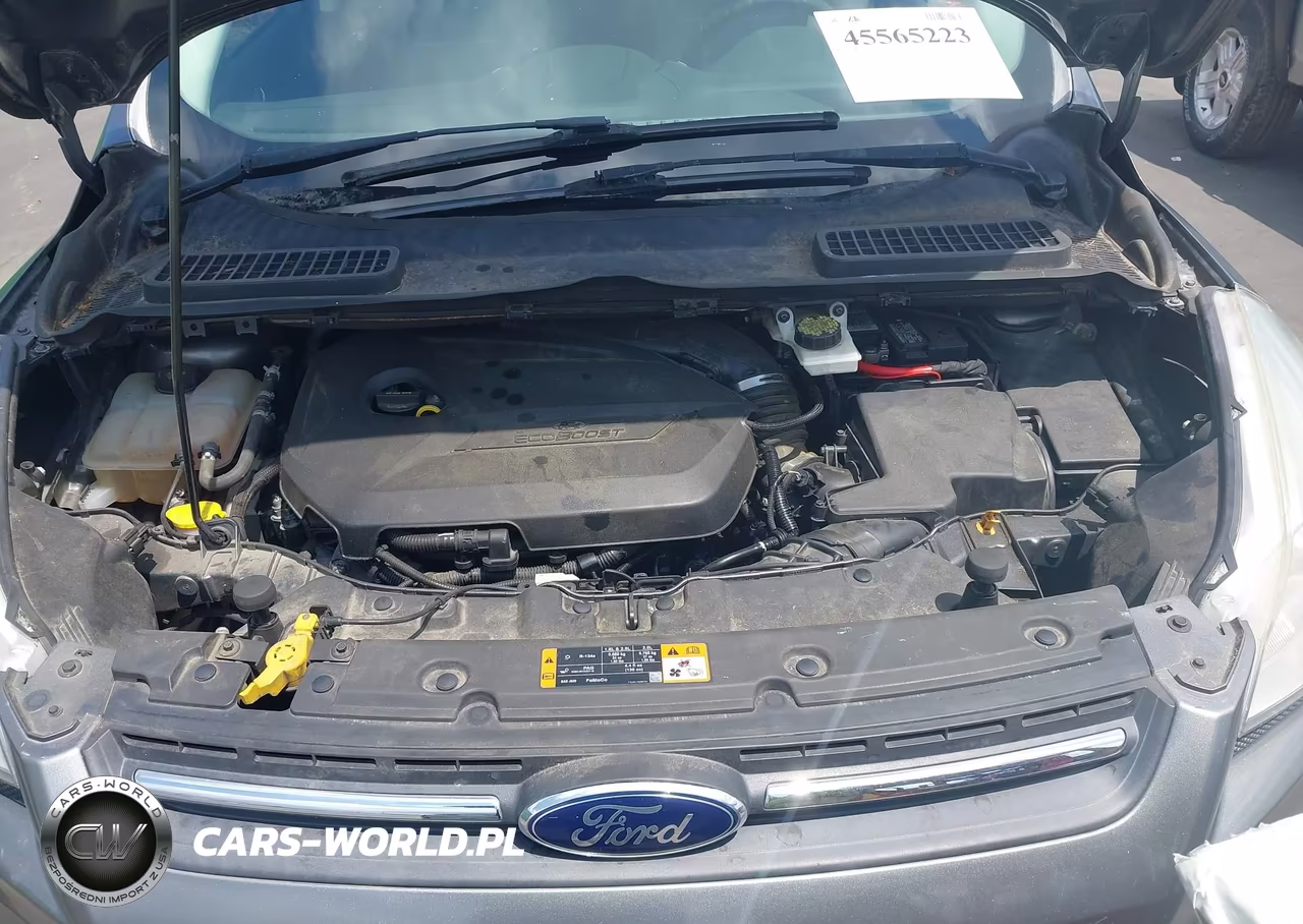 2014 Ford Escape Se VIN:1FMCU0GX3EUC24833 - 10
