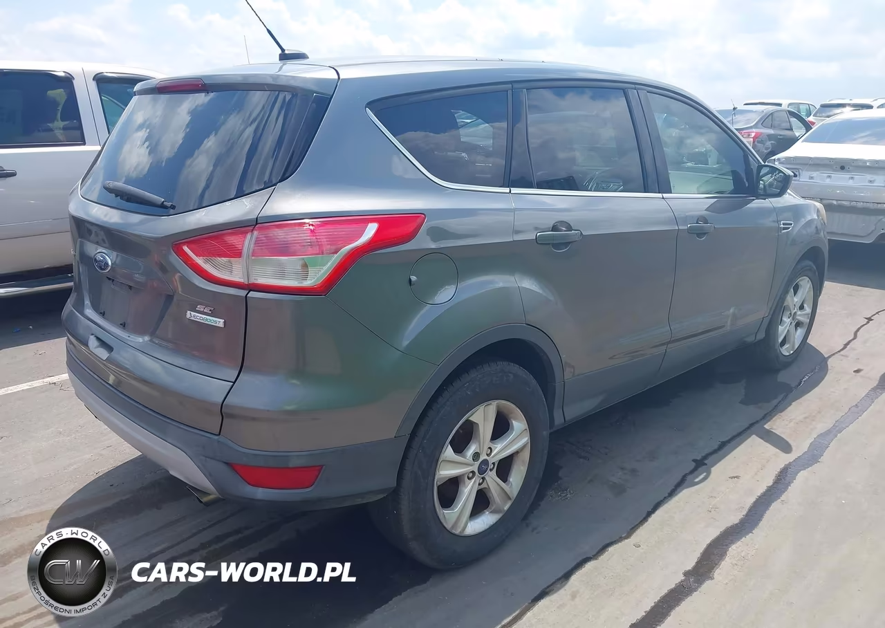2014 Ford Escape Se VIN:1FMCU0GX3EUC24833 - 4