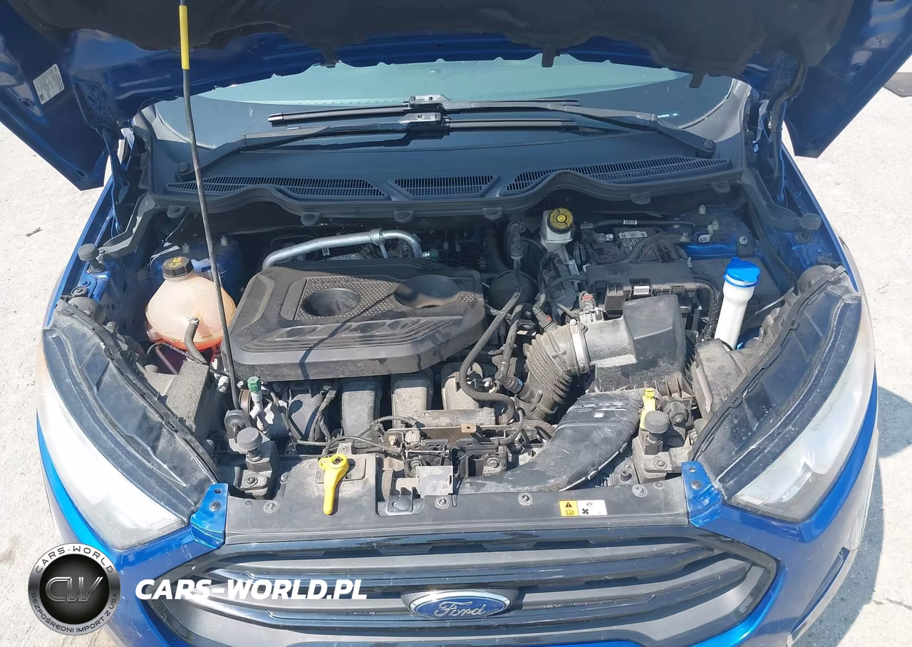 2020 Ford Ecosport S VIN:MAJ6S3FL2LC356420 - 10