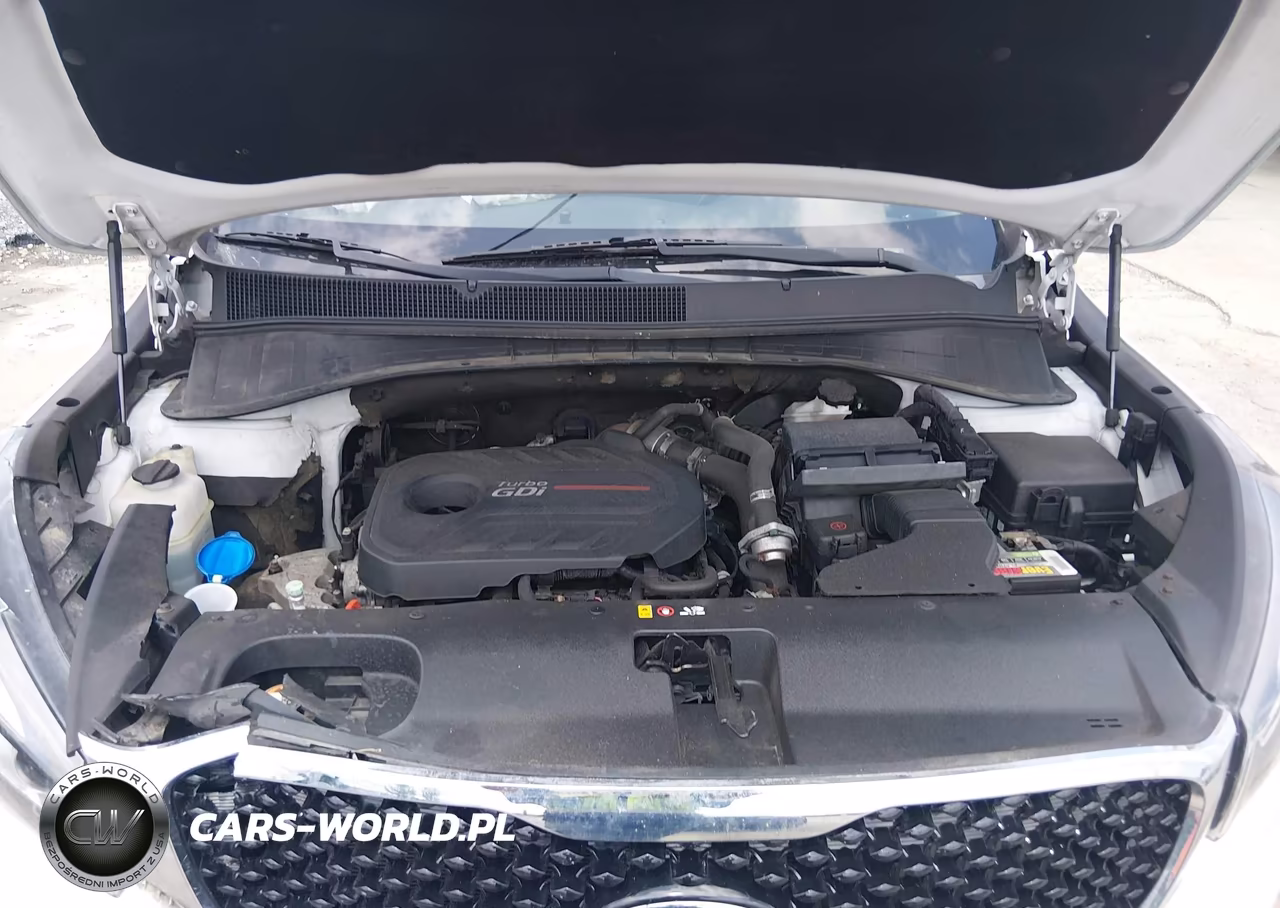 2016 Kia Sorento 2.0T Ex VIN:5XYPHDA10GG023353 - 10