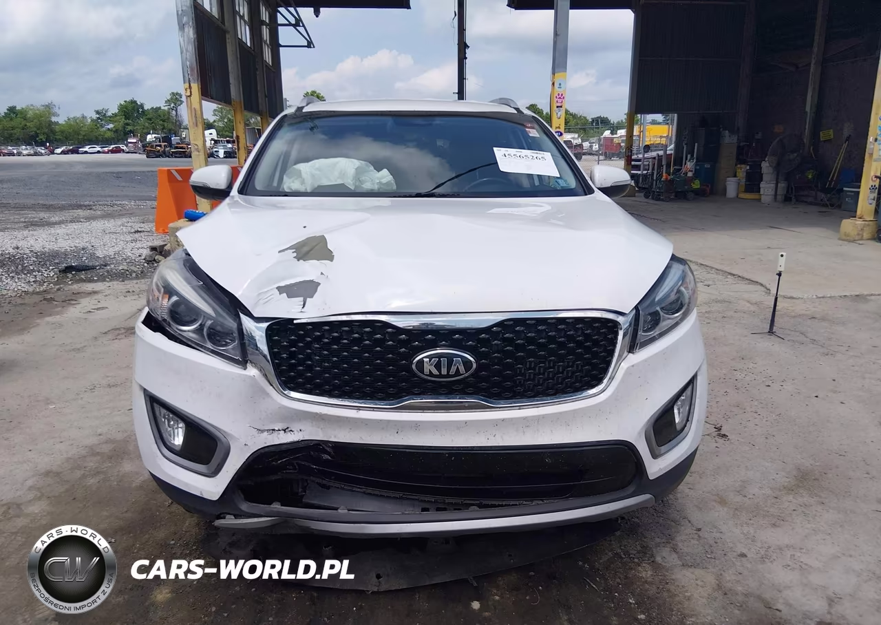 2016 Kia Sorento 2.0T Ex VIN:5XYPHDA10GG023353 - 12