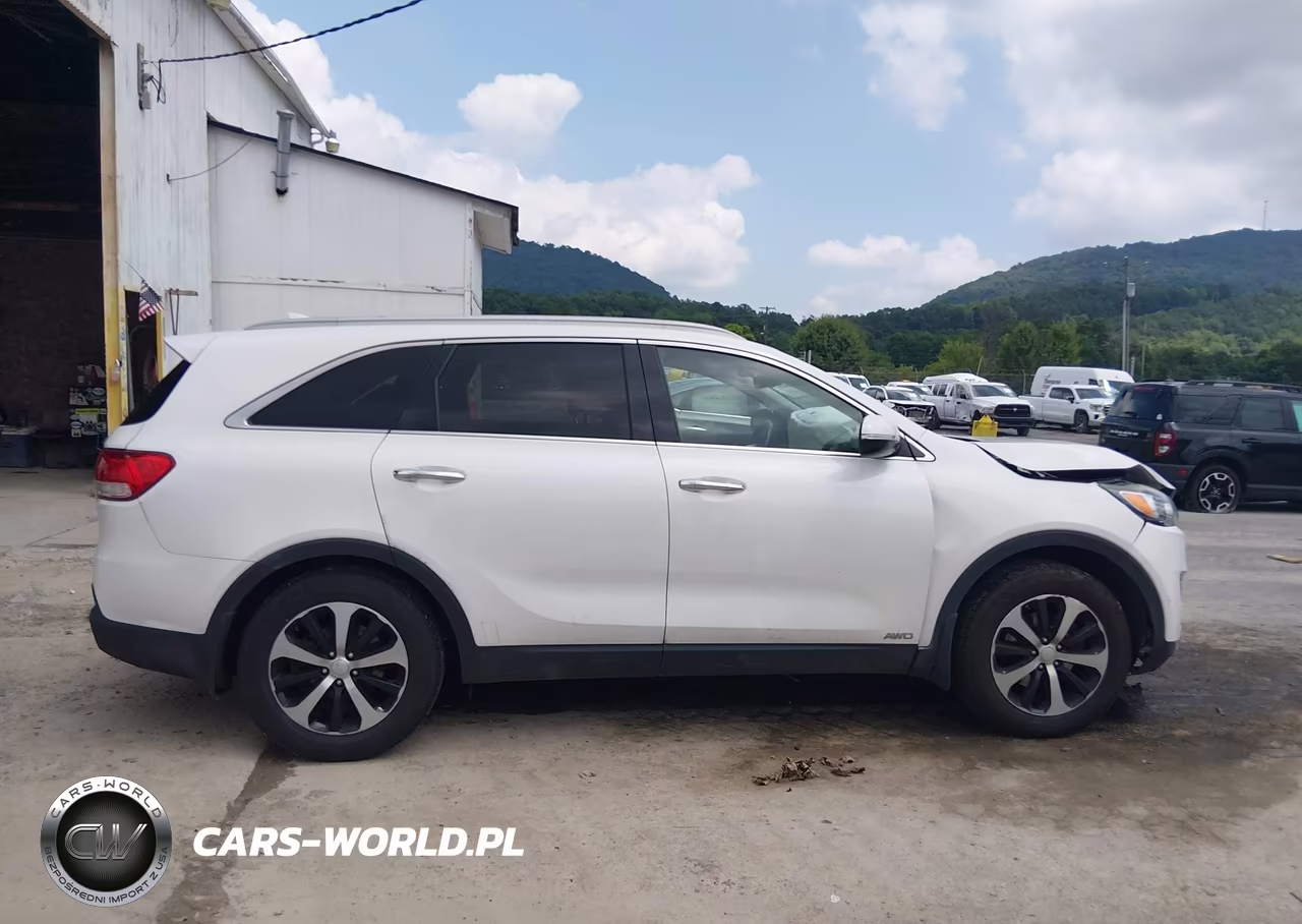 2016 Kia Sorento 2.0T Ex VIN:5XYPHDA10GG023353 - 13
