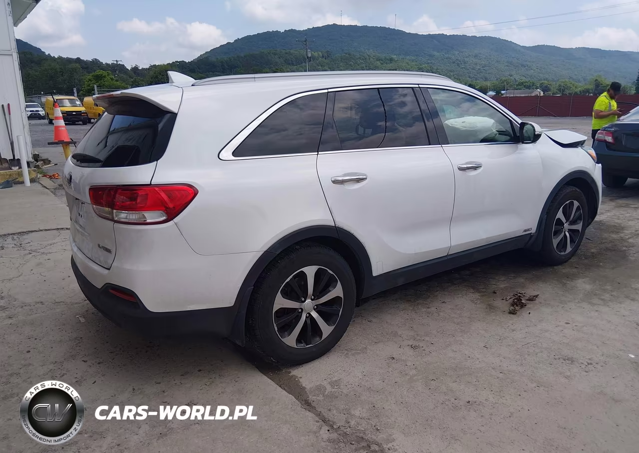 2016 Kia Sorento 2.0T Ex VIN:5XYPHDA10GG023353 - 4