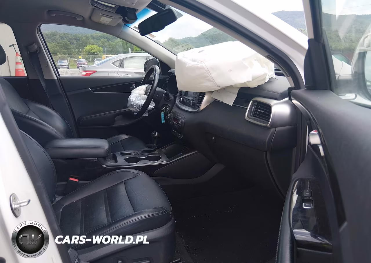 2016 Kia Sorento 2.0T Ex VIN:5XYPHDA10GG023353 - 5