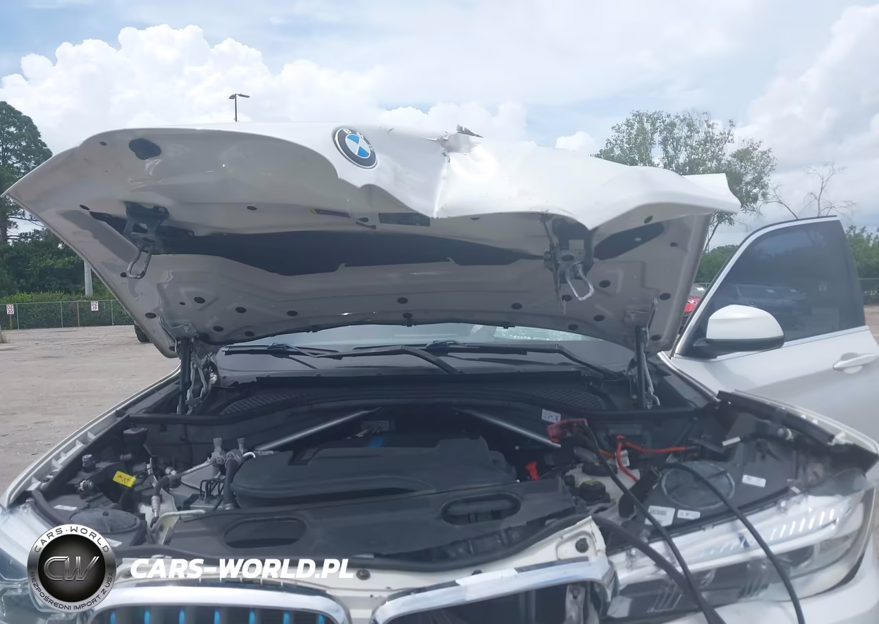 2018 BMW X5 Edrive xDrive40E Iperformance VIN:5UXKT0C58J0W03768 - 10