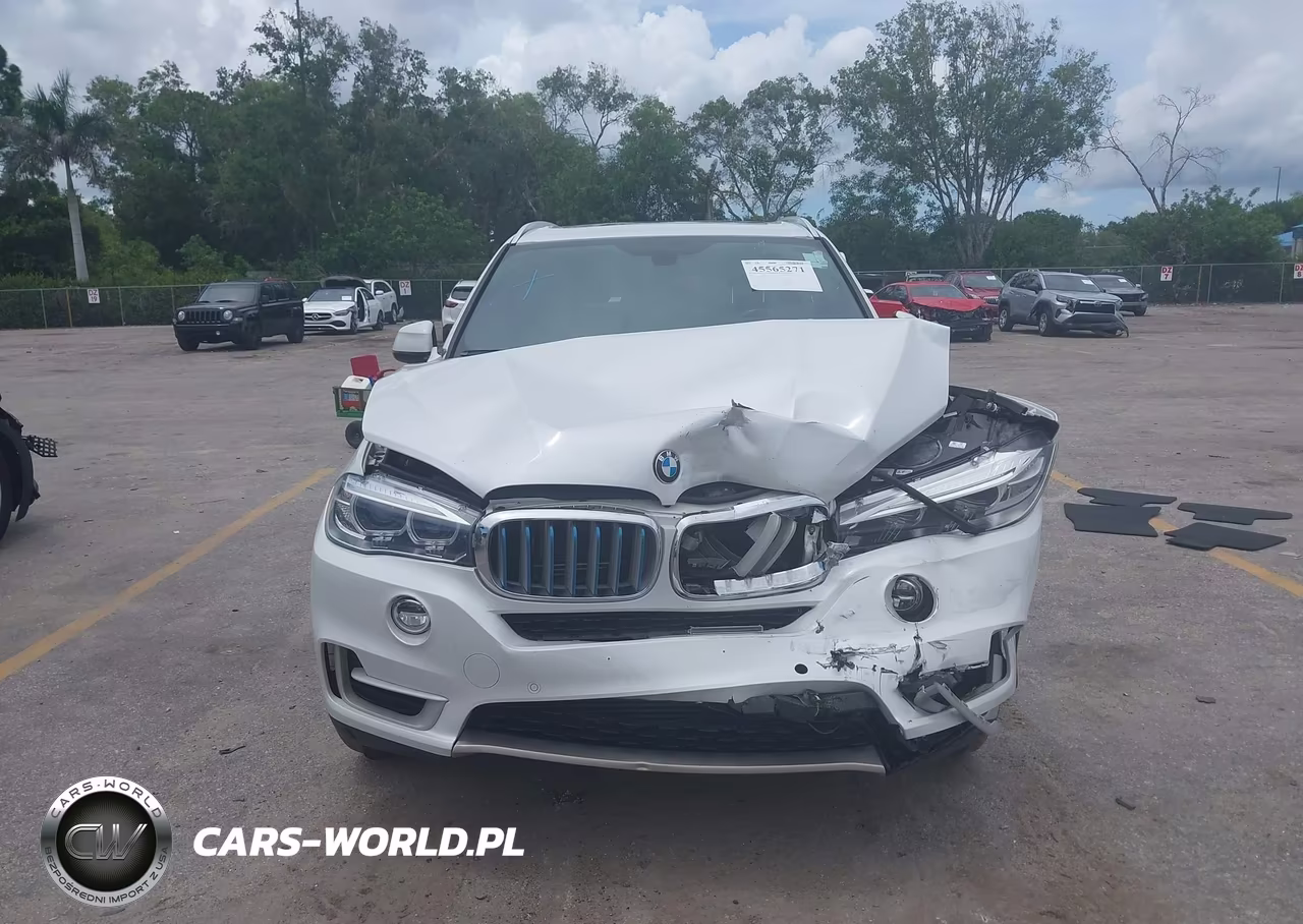2018 BMW X5 Edrive xDrive40E Iperformance VIN:5UXKT0C58J0W03768 - 12