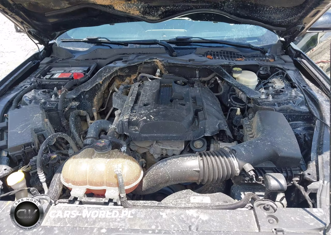 2016 Ford Mustang Ecoboost Premium VIN:1FATP8UH4G5292231 - 10