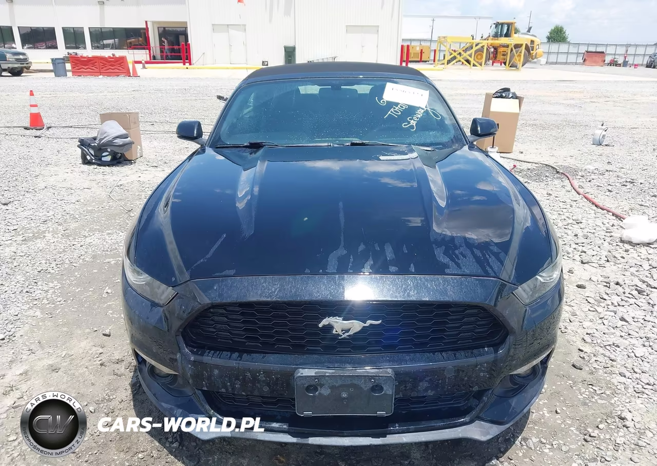 2016 Ford Mustang Ecoboost Premium VIN:1FATP8UH4G5292231 - 12