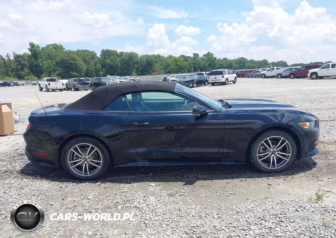 2016 Ford Mustang Ecoboost Premium VIN:1FATP8UH4G5292231 - 13