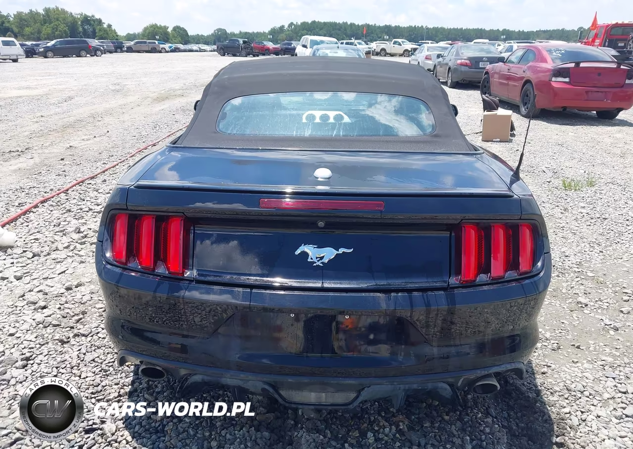 2016 Ford Mustang Ecoboost Premium VIN:1FATP8UH4G5292231 - 16