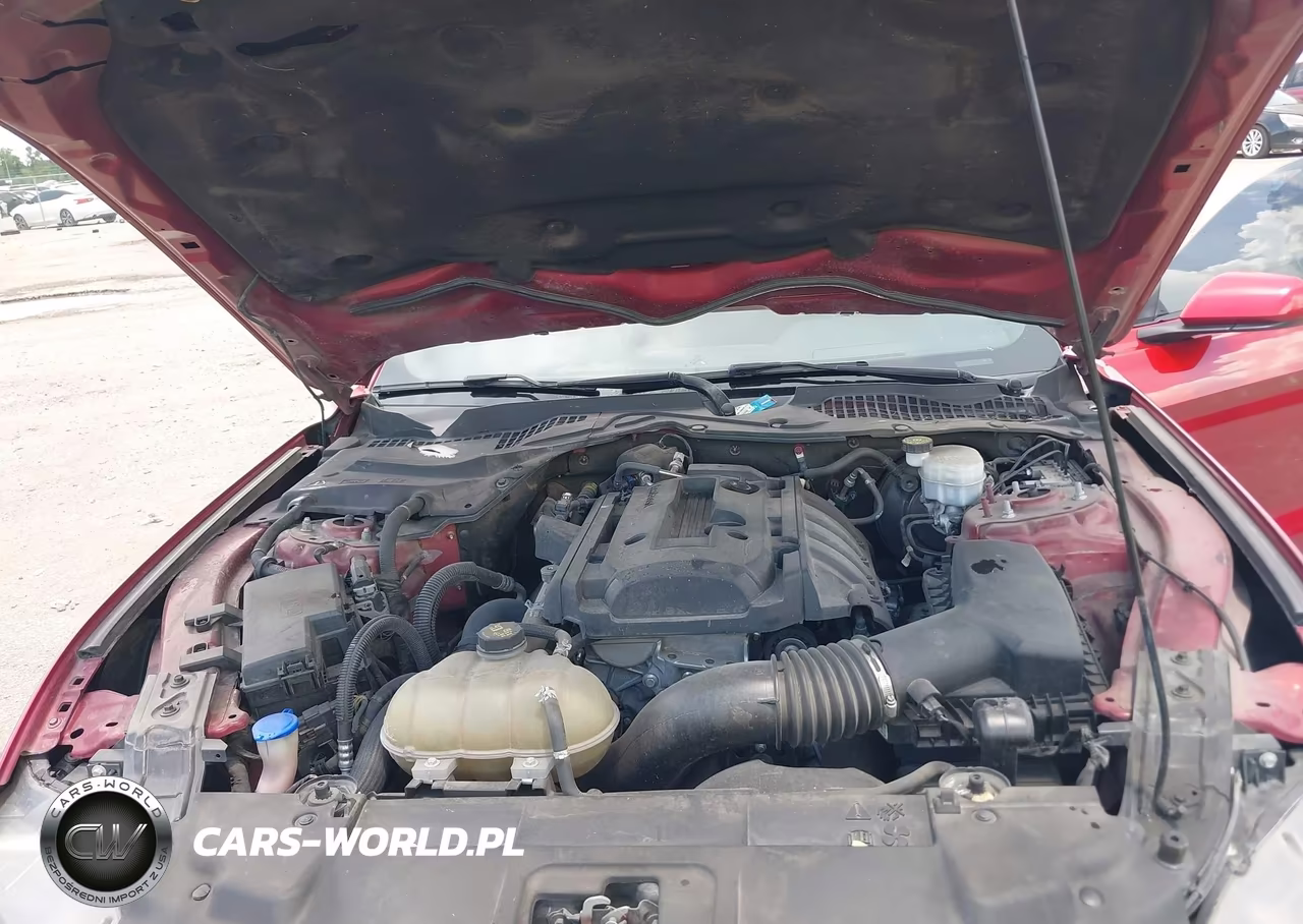 2020 Ford Mustang Ecoboost Fastback VIN:1FA6P8THXL5168750 - 10