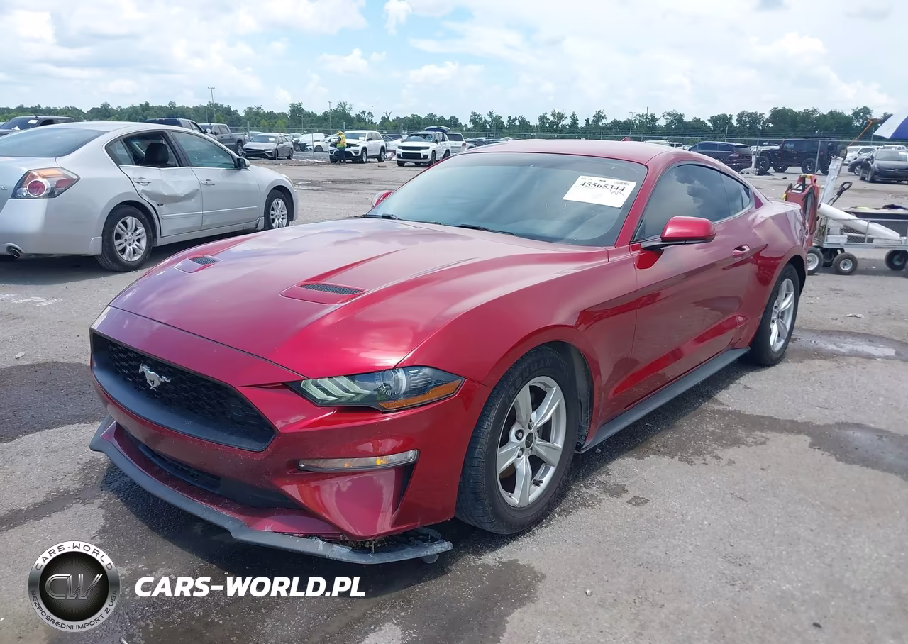 2020 Ford Mustang Ecoboost Fastback VIN:1FA6P8THXL5168750 - 2