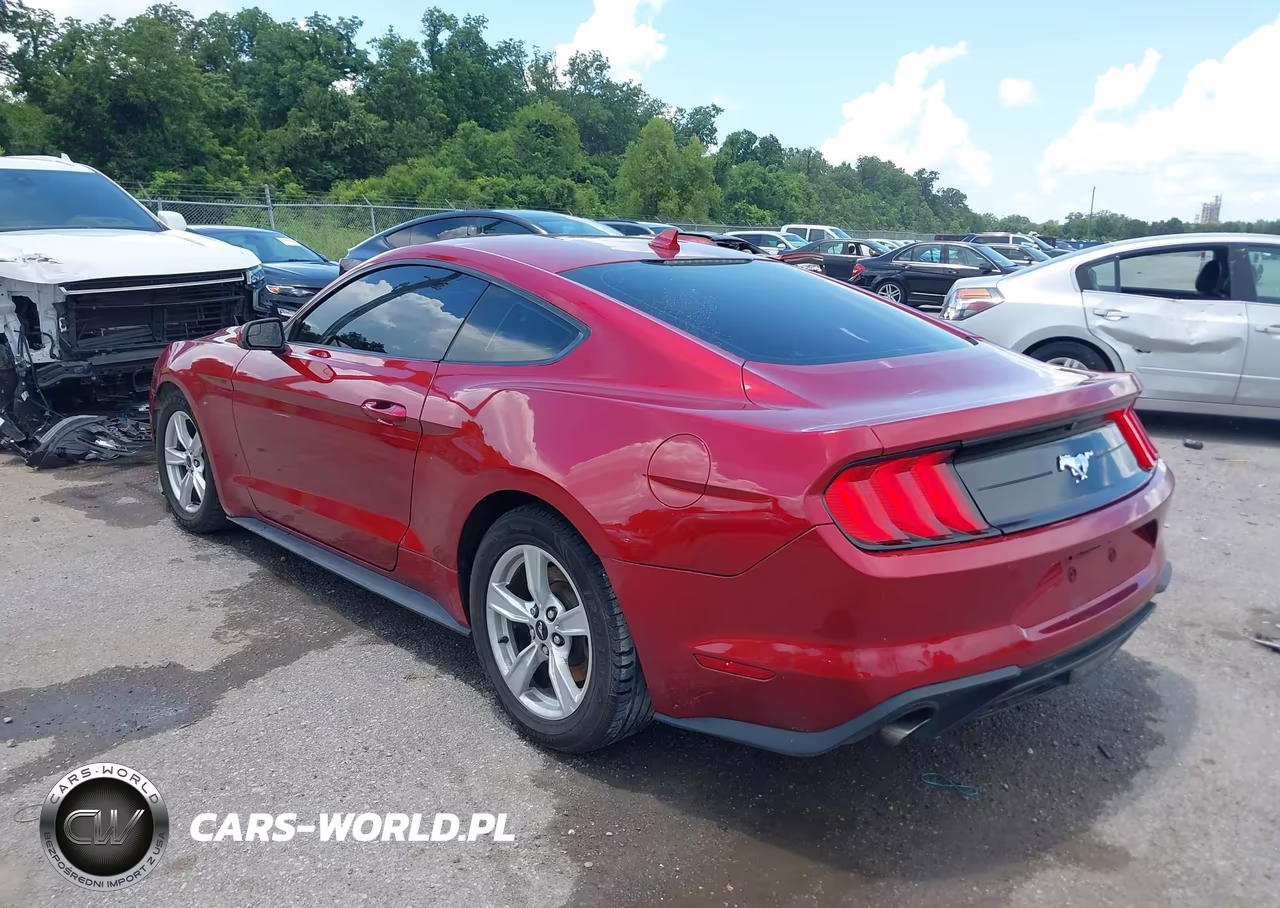 2020 Ford Mustang Ecoboost Fastback VIN:1FA6P8THXL5168750 - 3