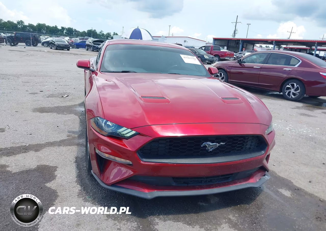 2020 Ford Mustang Ecoboost Fastback VIN:1FA6P8THXL5168750 - 6