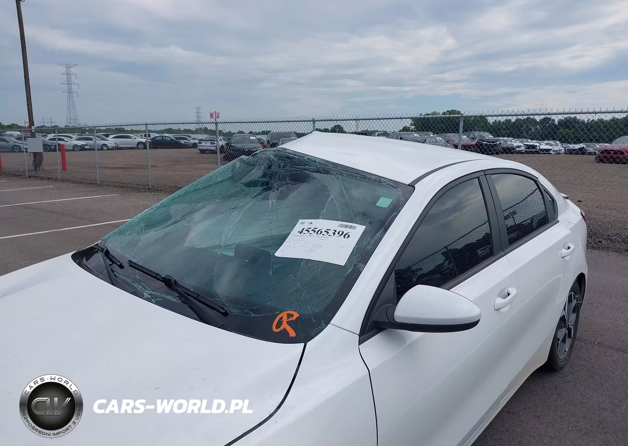 2021 Kia Forte Lxs VIN:3KPF24AD9ME395242 - 18