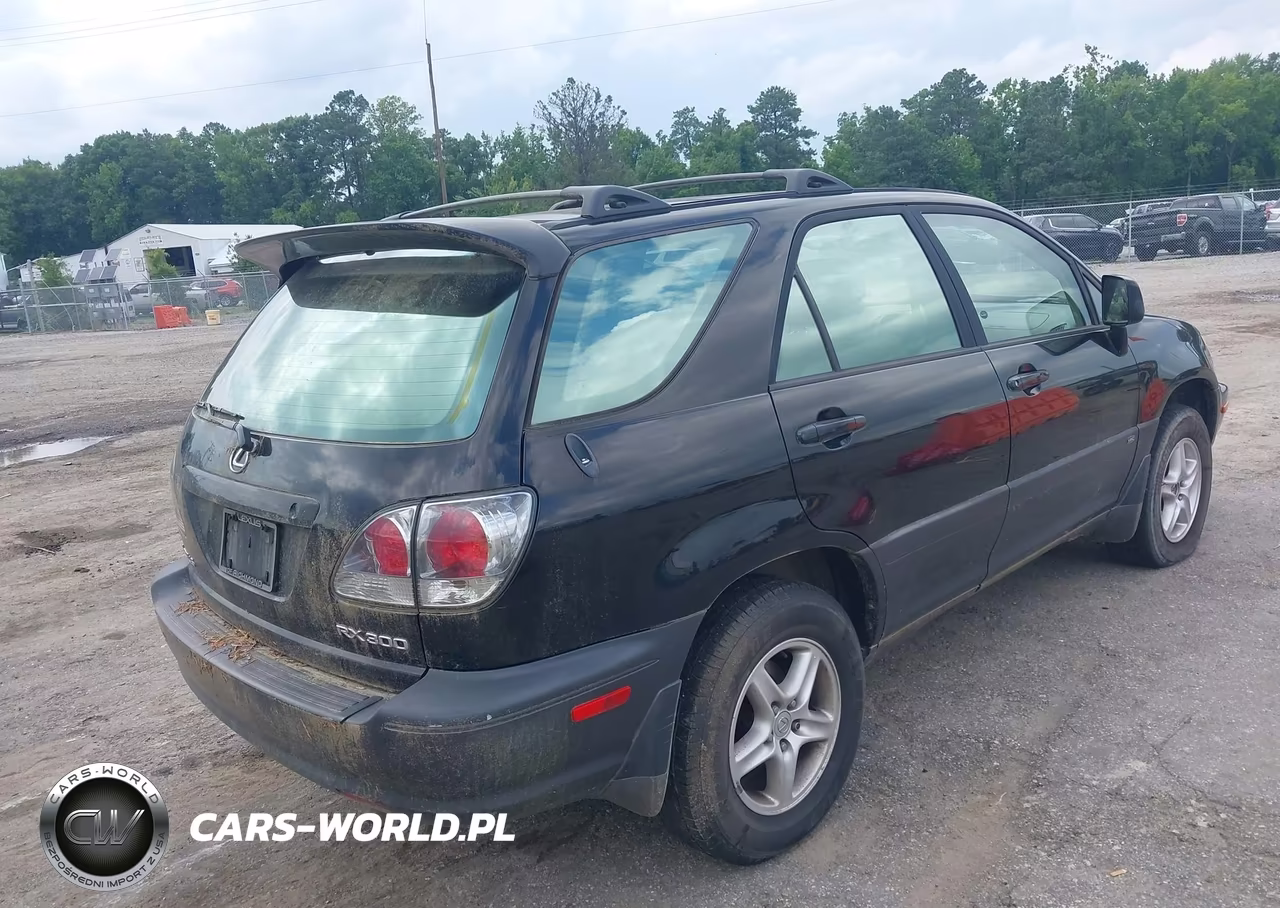 2001 Lexus Rx 300 VIN:JTJHF10U410190362 - 4