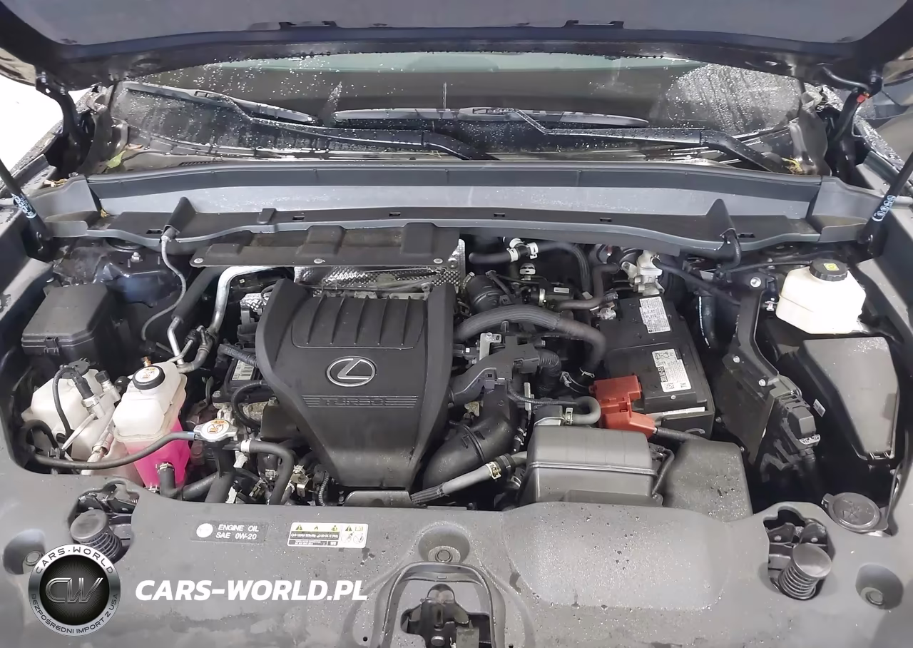 2024 Lexus Tx 350 Premium VIN:5TDAAAB67RS012388 - 10