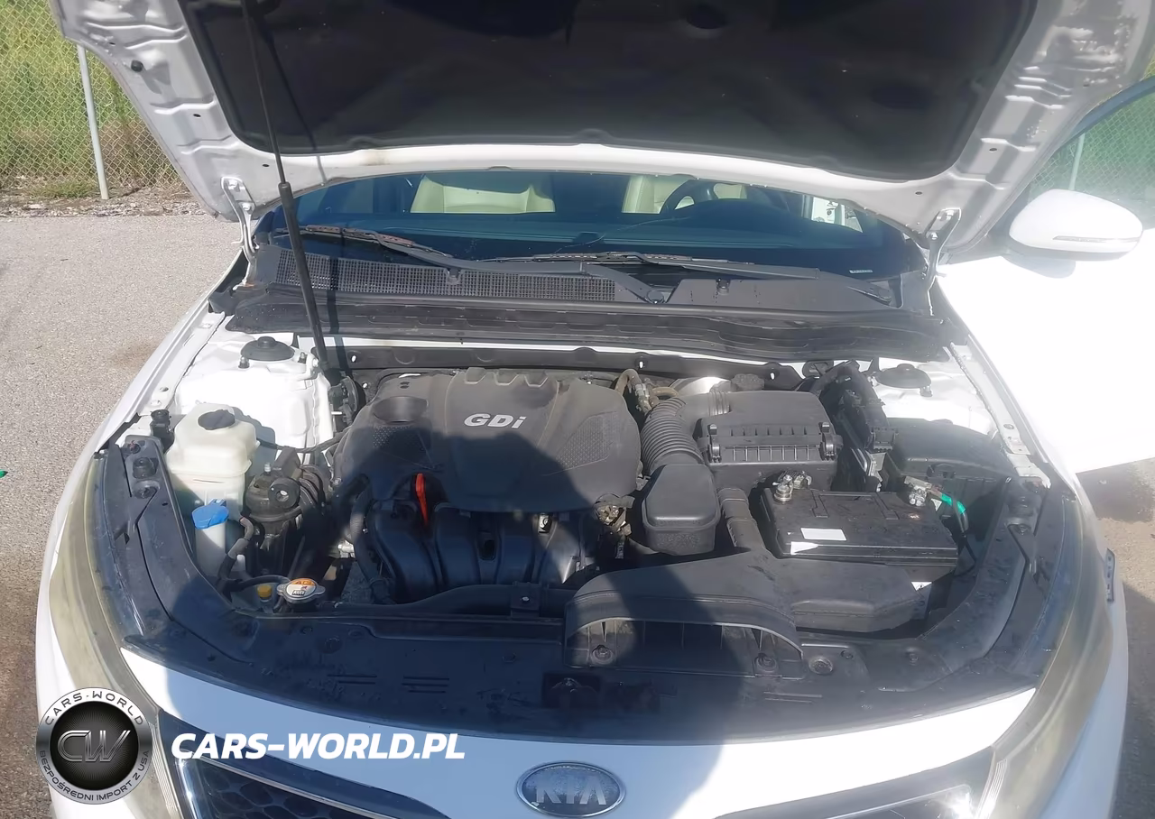 2015 Kia Optima Ex VIN:5XXGN4A78FG421913 - 10