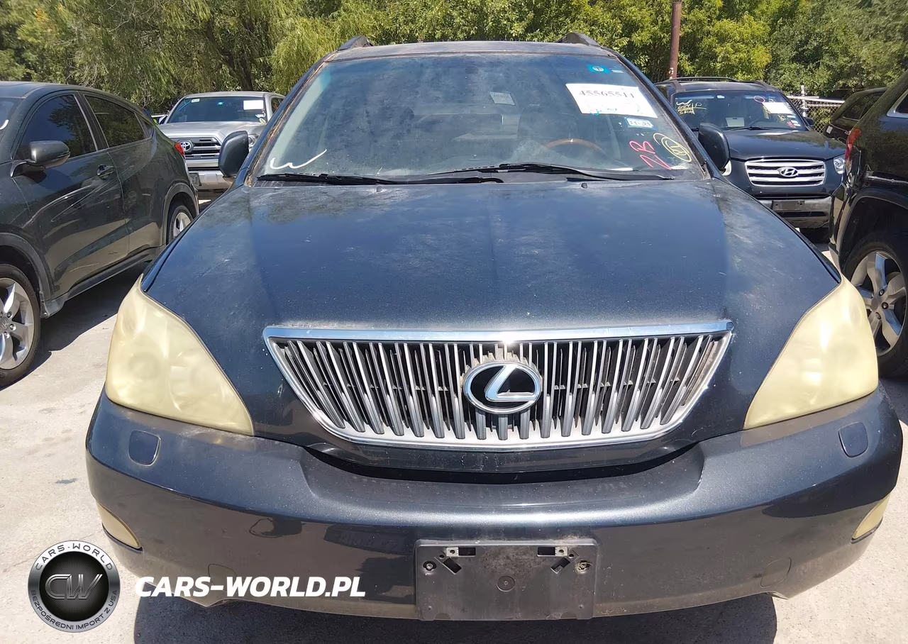 2004 Lexus Rx 330 VIN:JTJGA31U940022452 - 6