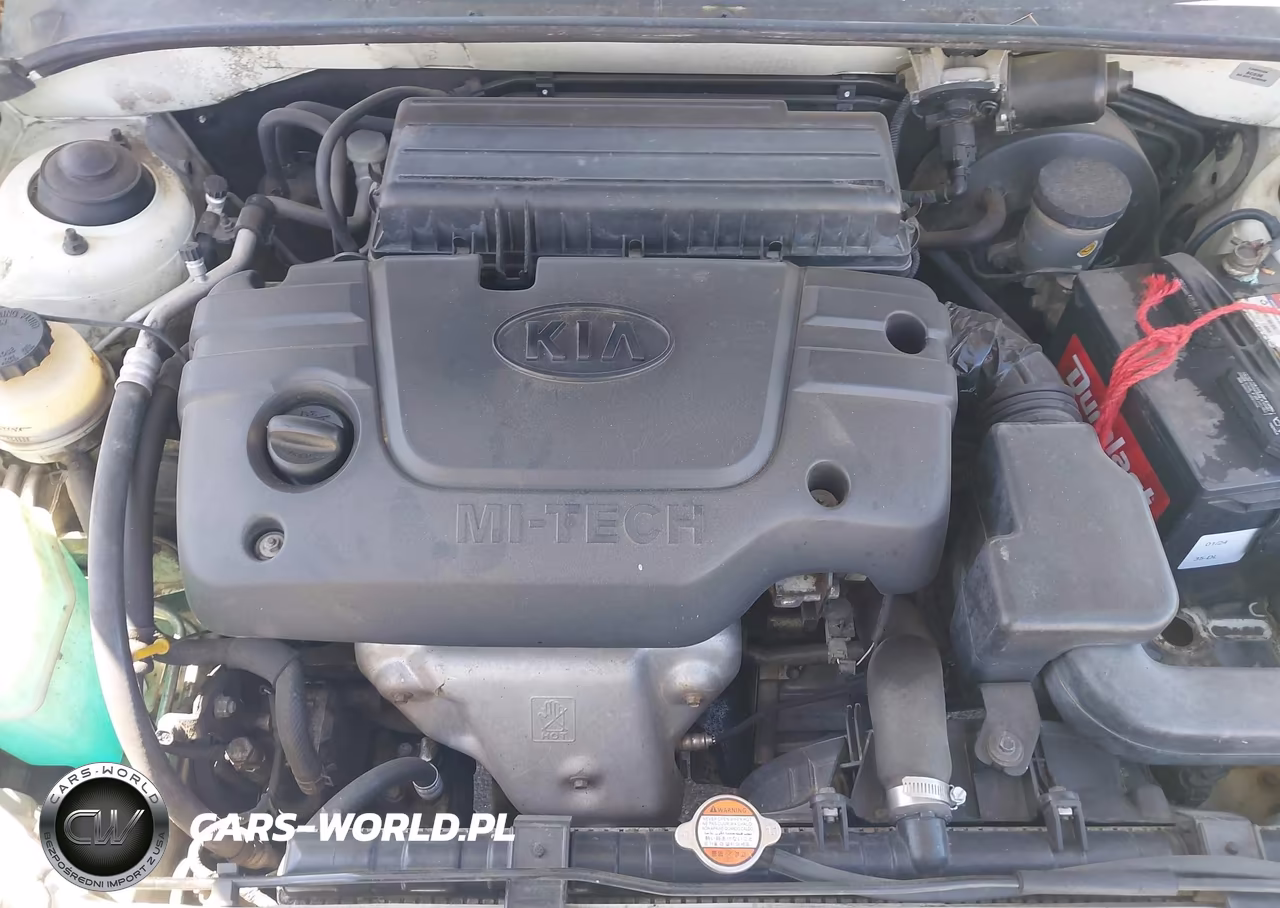 2002 Kia Rio VIN:KNADC123026148605 - 10